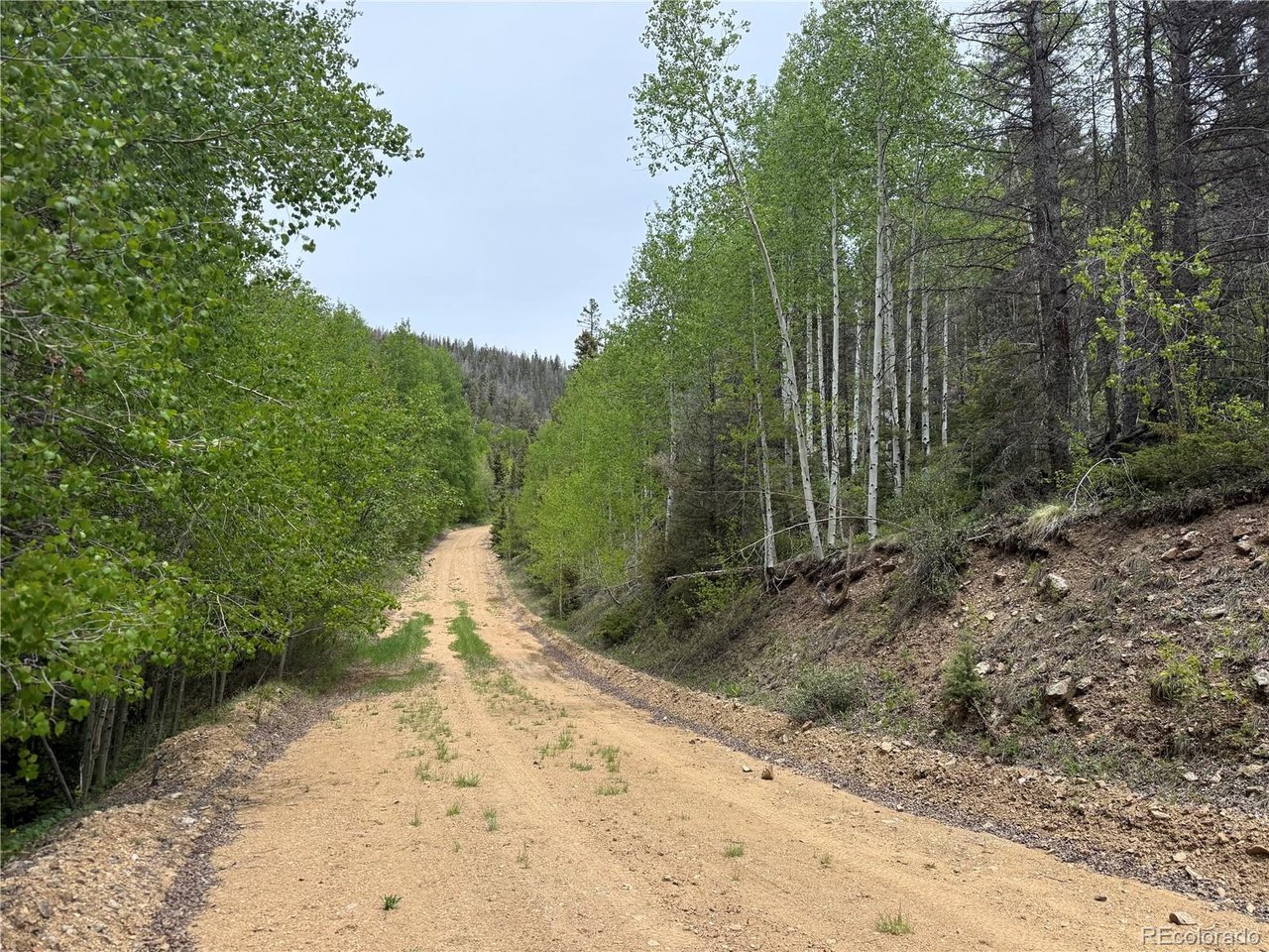 6795 Starkweather Road San Luis, CO 81152 - Photo 13 of 23 a view of a road with plants and trees