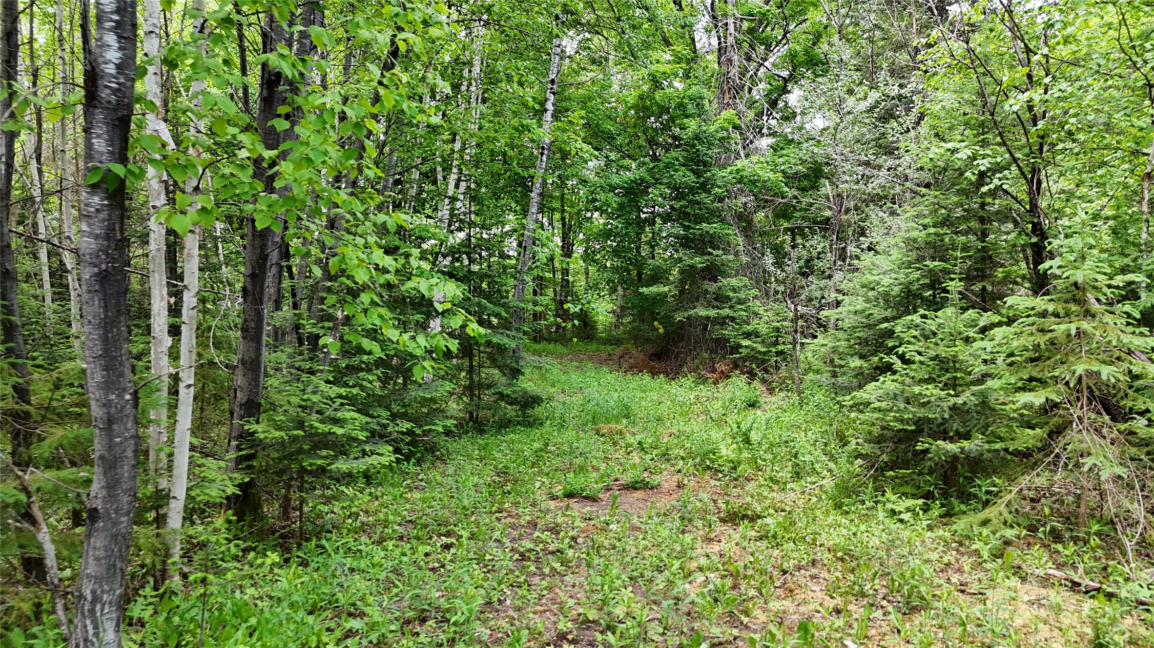 7069 N Fenders Road Winter, WI 54896 - Photo 30 of 50