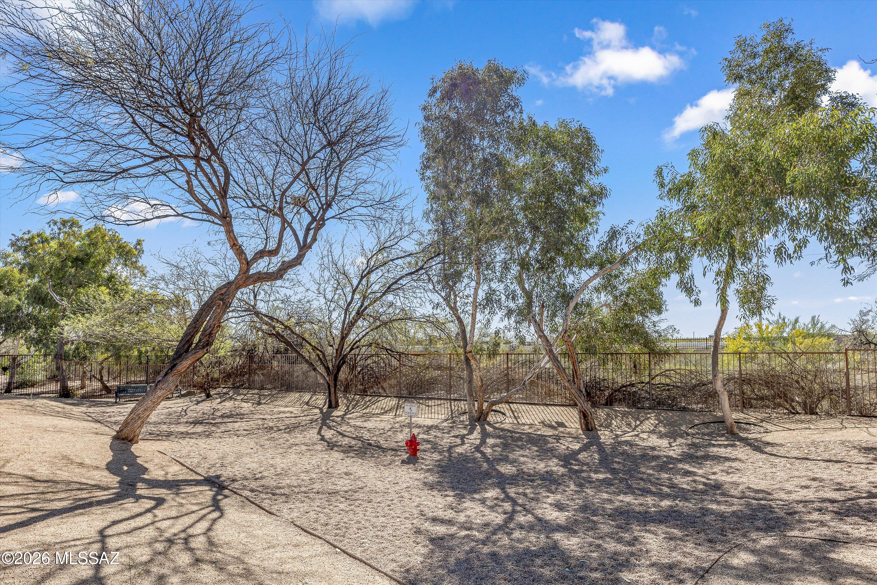 494 East Cedarvale Road Tucson, AZ 85704 - Photo 40 of 51