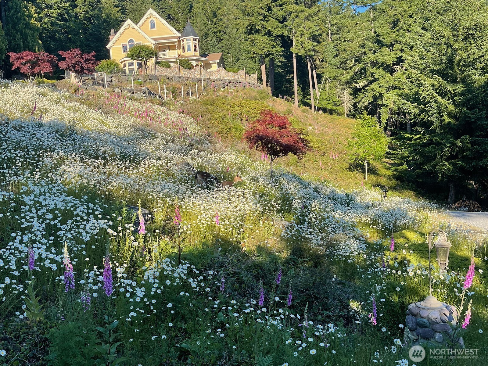 a view of outdoor space and yard
