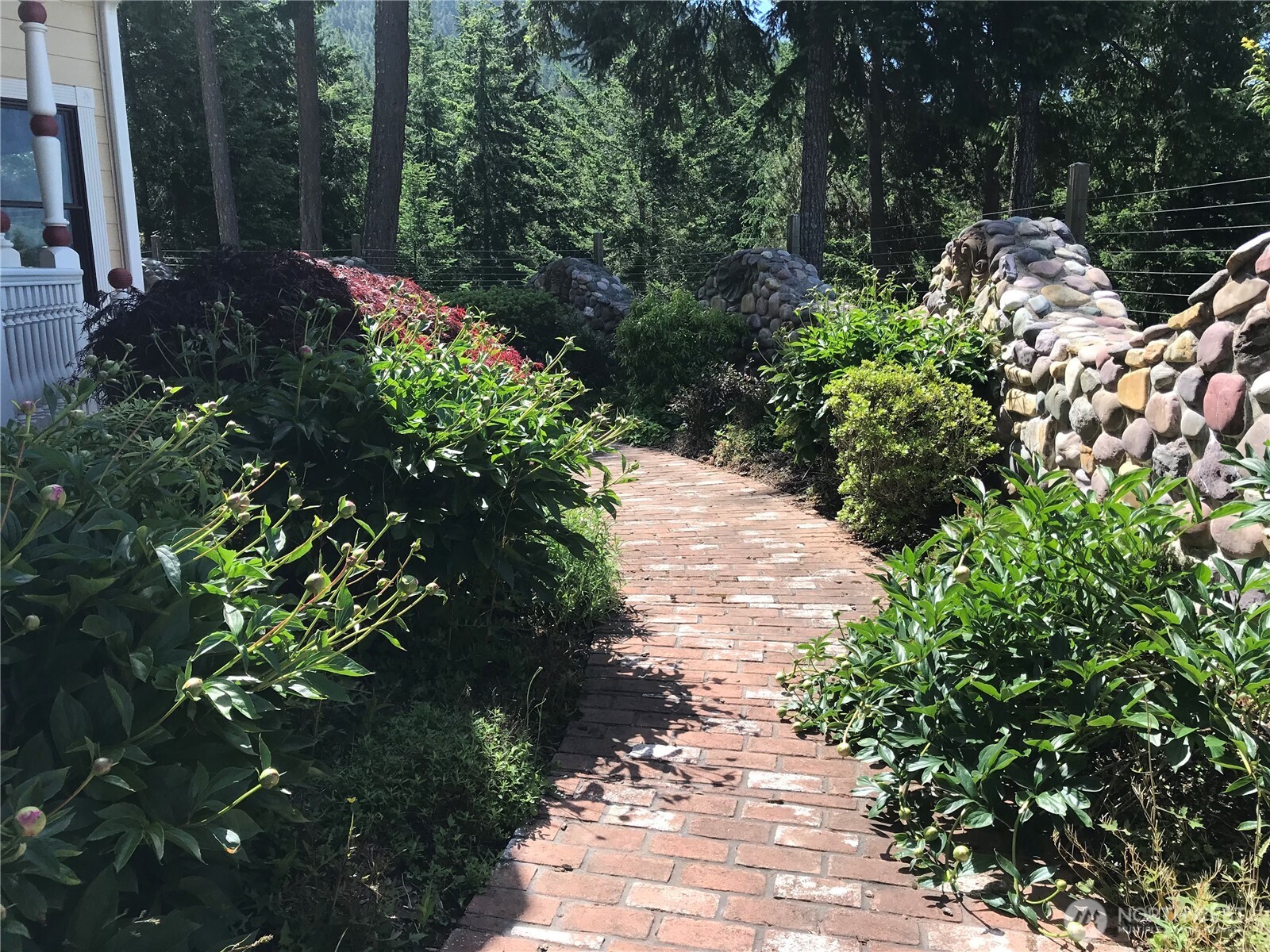 1656 Eagle Ridge Road Orcas Island, WA 98245 - Photo 14 of 40 a view of a garden with flowers