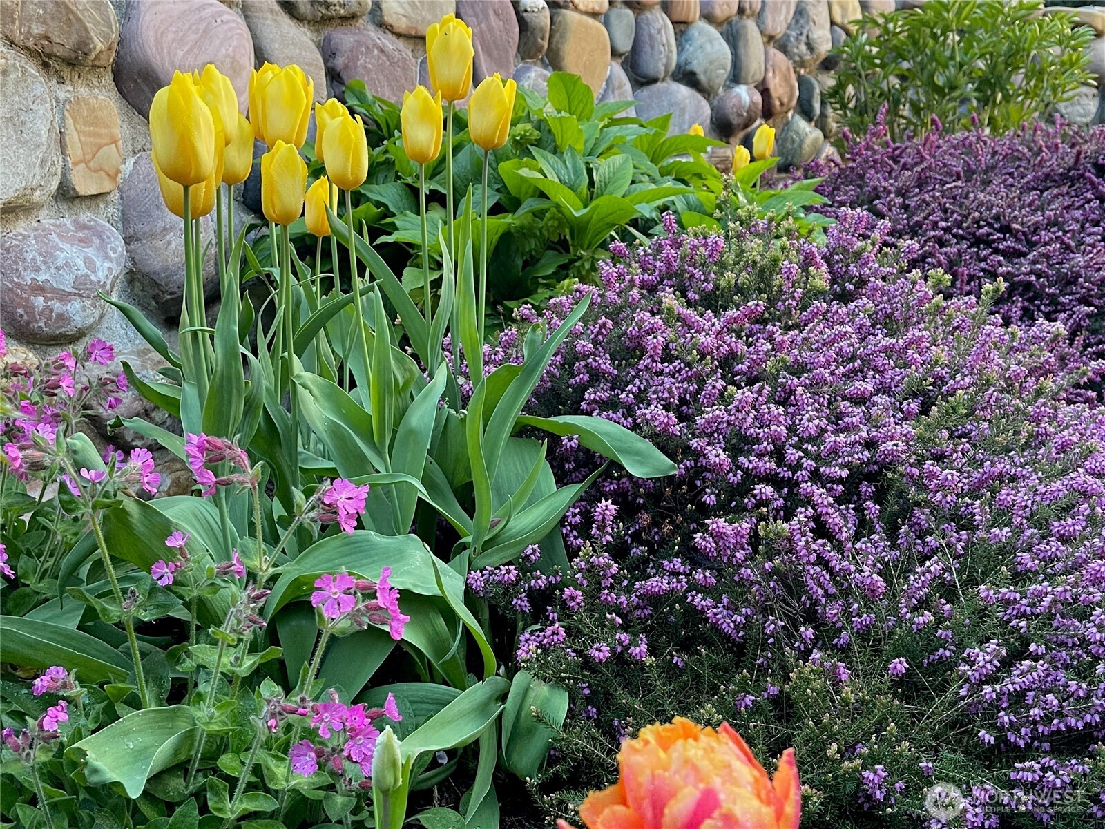 1656 Eagle Ridge Road Orcas Island, WA 98245 - Photo 15 of 40 a view of a flower in a garden