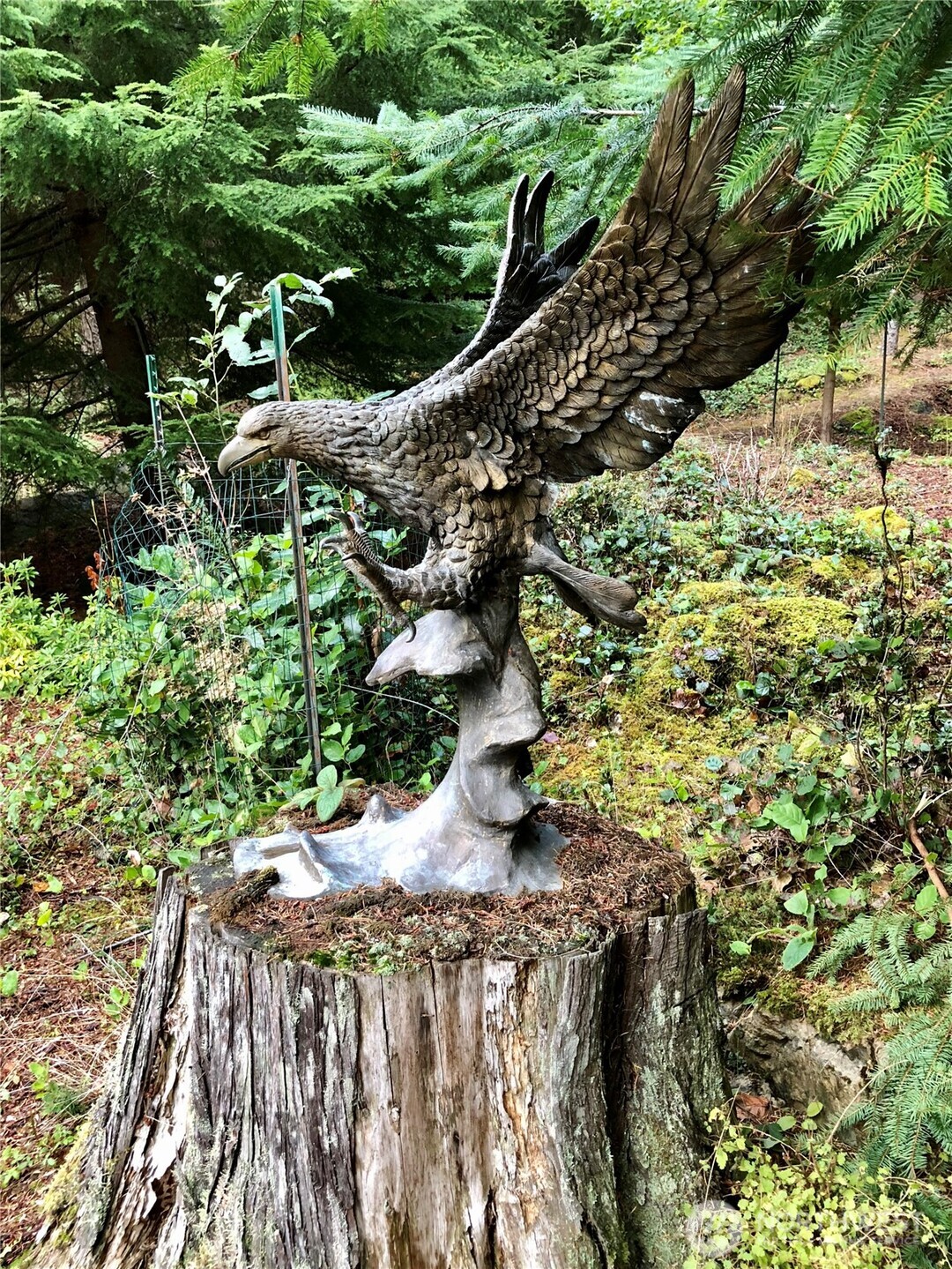 1656 Eagle Ridge Road Orcas Island, WA 98245 - Photo 34 of 40 a view of a tree with a yard