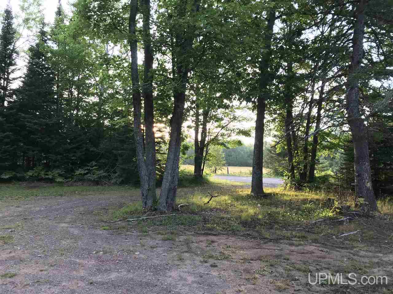 56465 Traprock Valley Road Calumet, MI 49913 - Photo 8 of 20