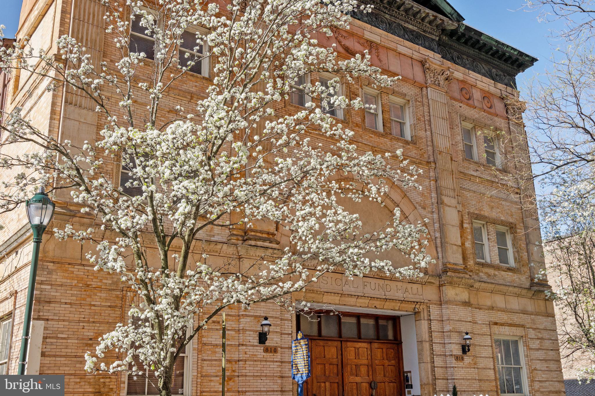 802 Locust Street, Unit 201 Philadelphia, PA 19107 - Photo 47 of 53 Blossoms frame historic brick facade.