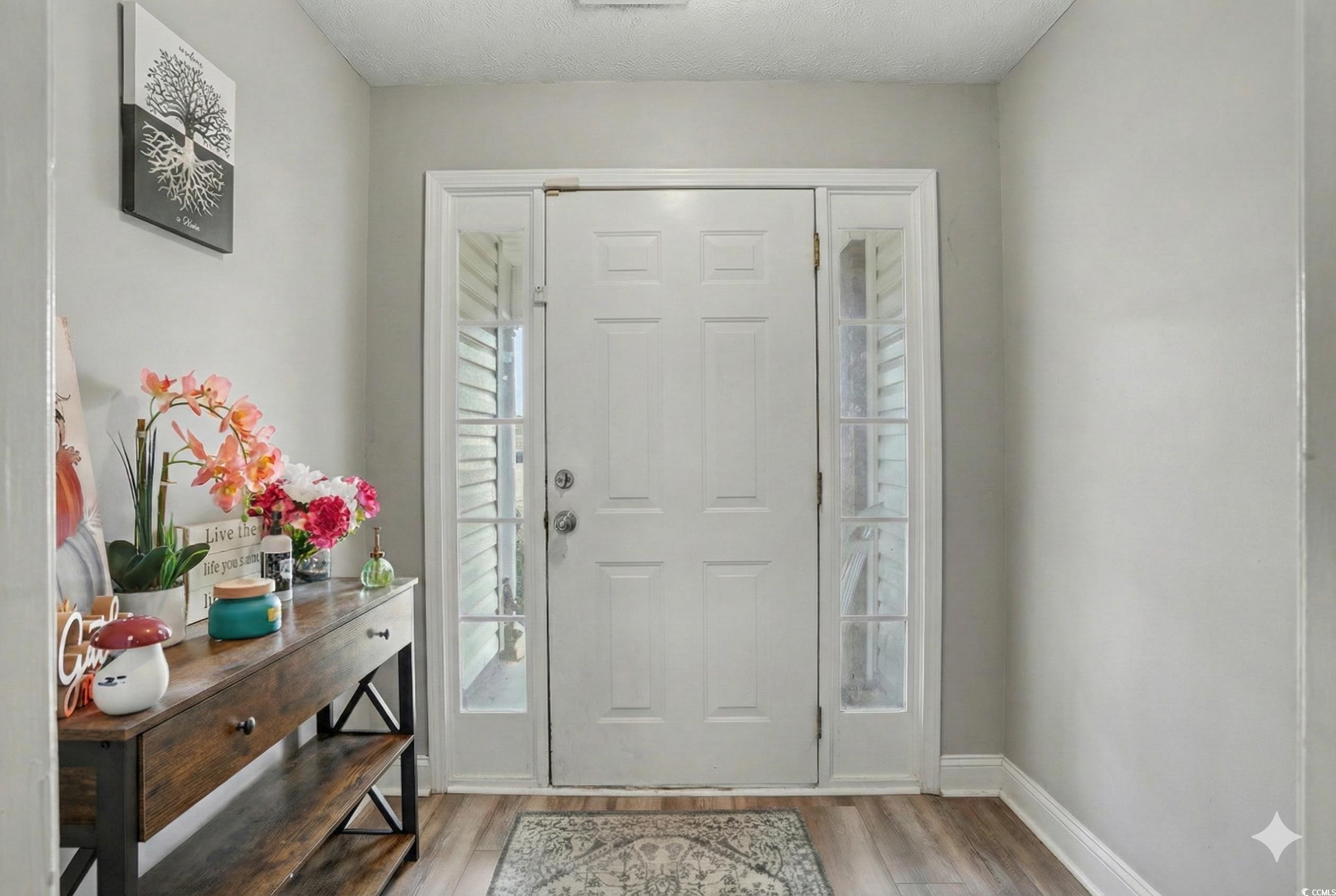 970 Eaglet Circle Conway, SC 29527 - Photo 3 of 28