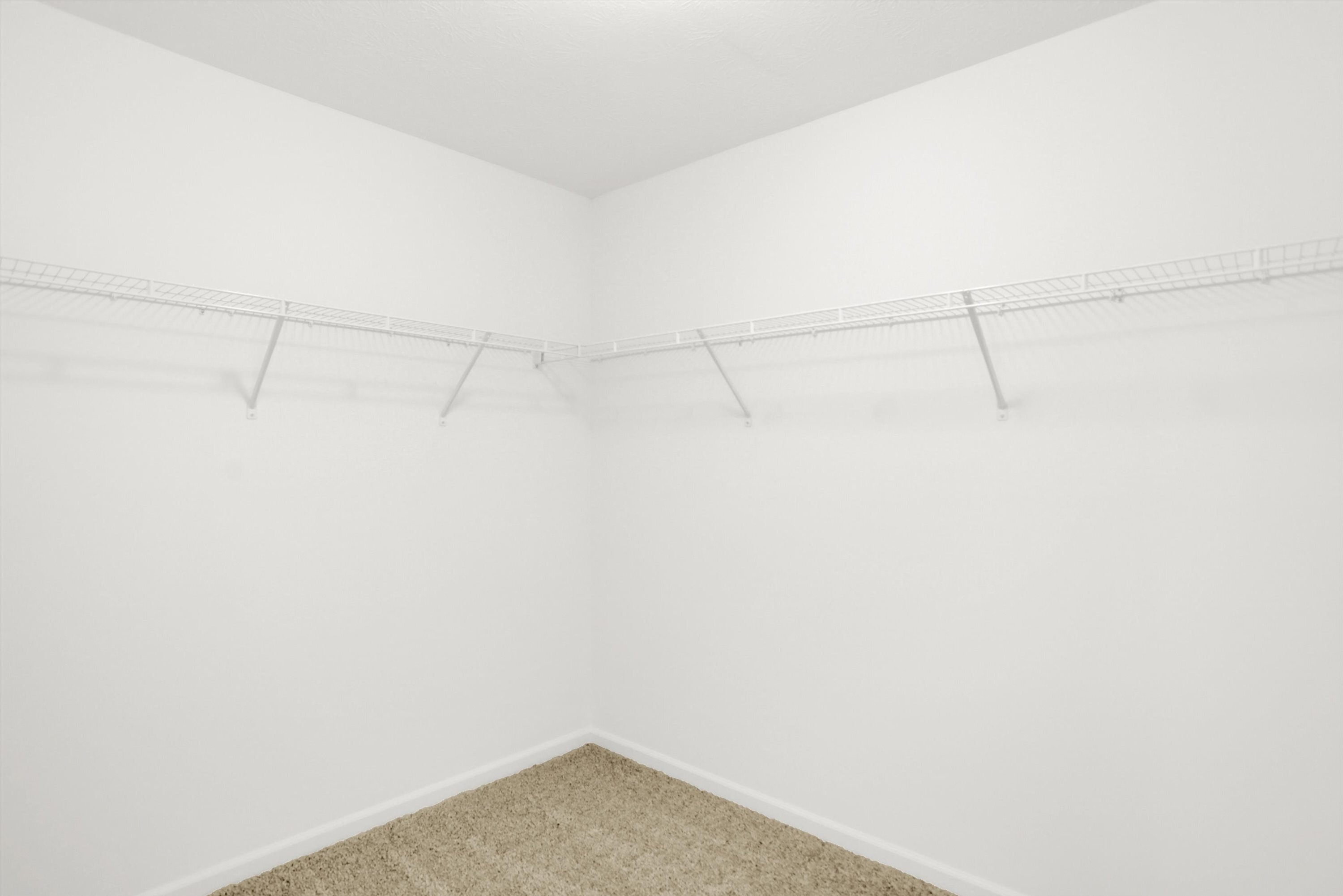 19341 Grassy Branch Road Westfield, IN 46074 - Photo 25 of 39