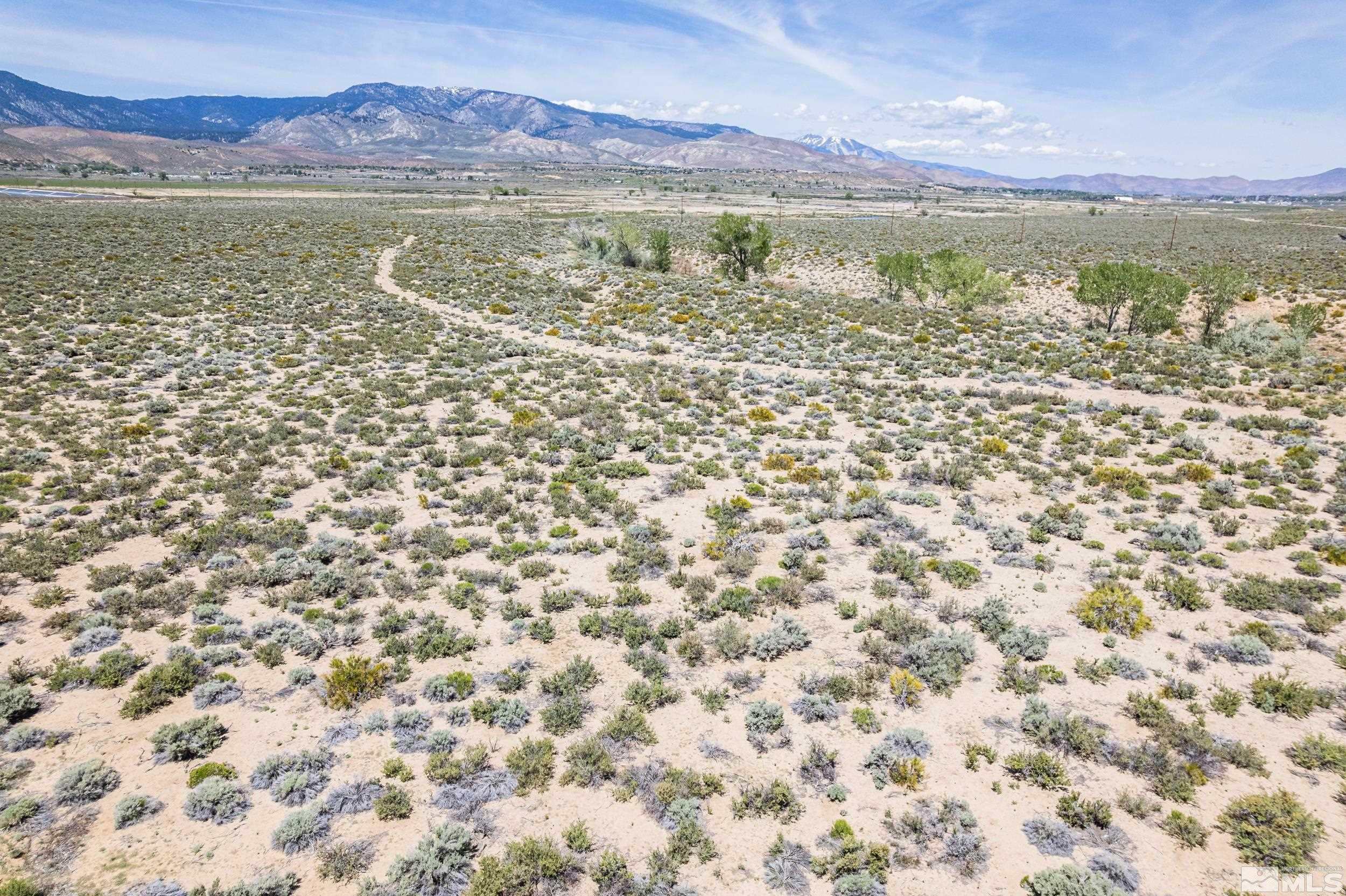 0 Vicky Lane Minden, NV 89423 - Photo 15 of 34 Photo 18