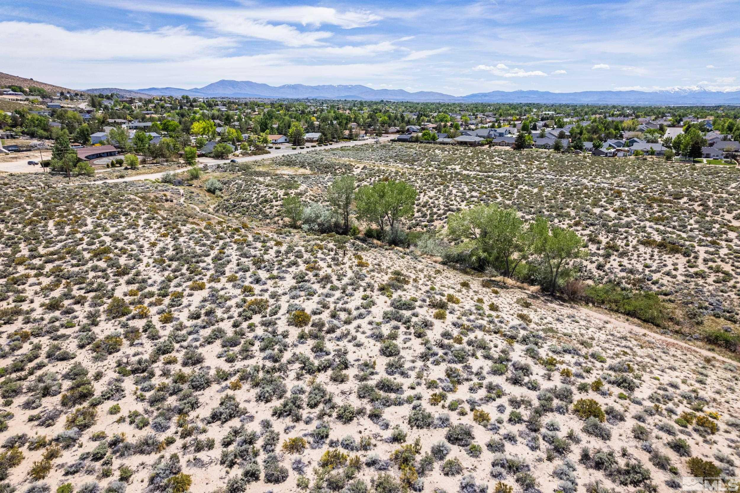 0 Vicky Lane Minden, NV 89423 - Photo 17 of 34 Photo 20