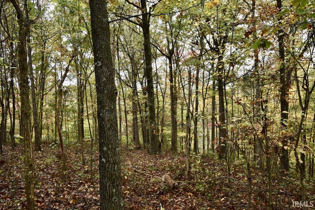 3686 South Hatfield Road English, IN 47118 - Photo 12 of 27