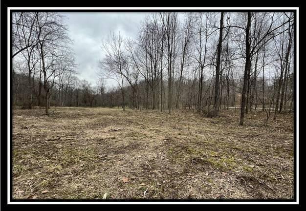 35471 Buck Run Road Langsville, OH 45741 - Photo 22 of 32