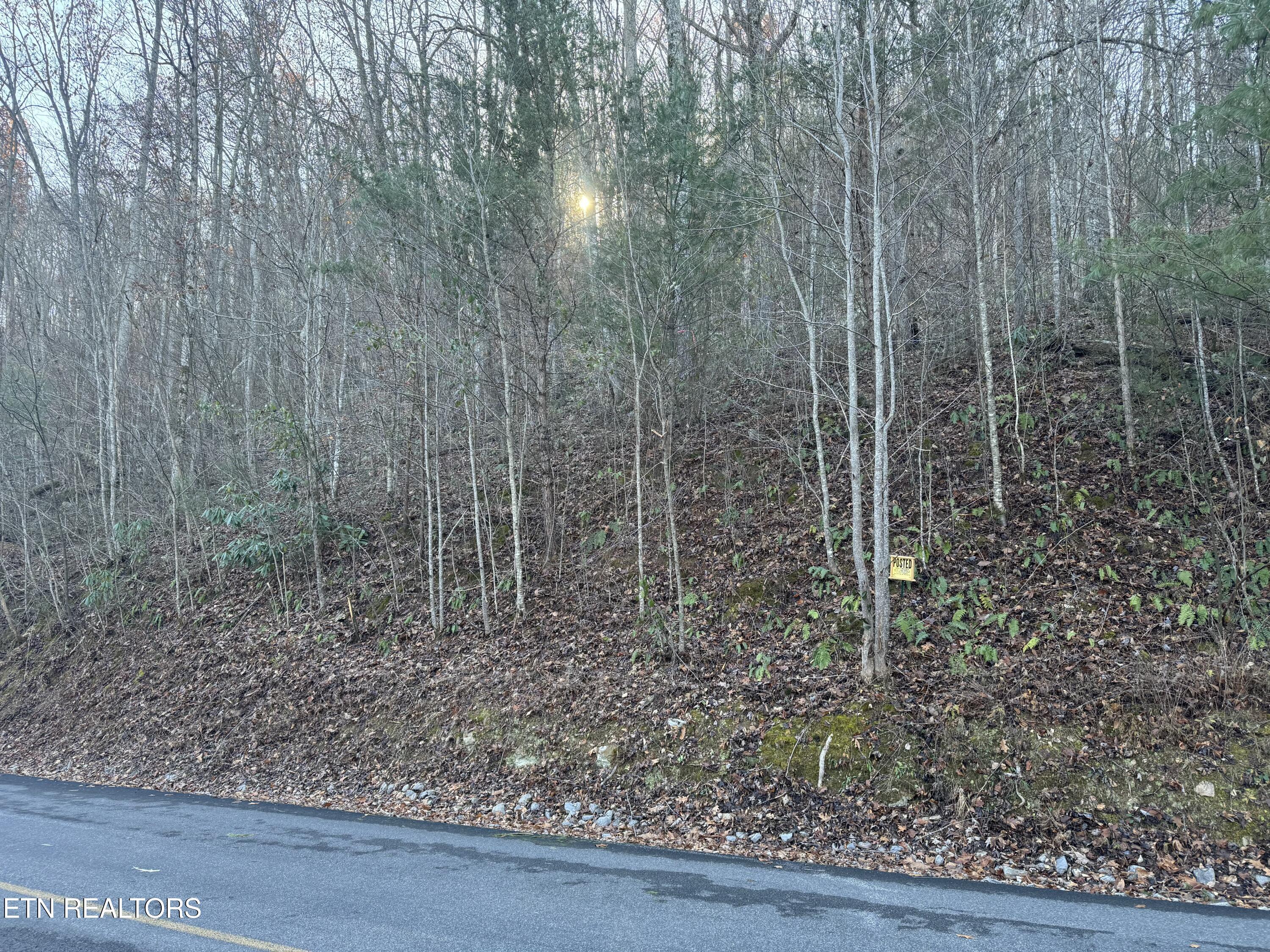 Lot 57 Whetstone Road Sevierville, TN 37862 - Photo 4 of 12 tempImagexVRDoG