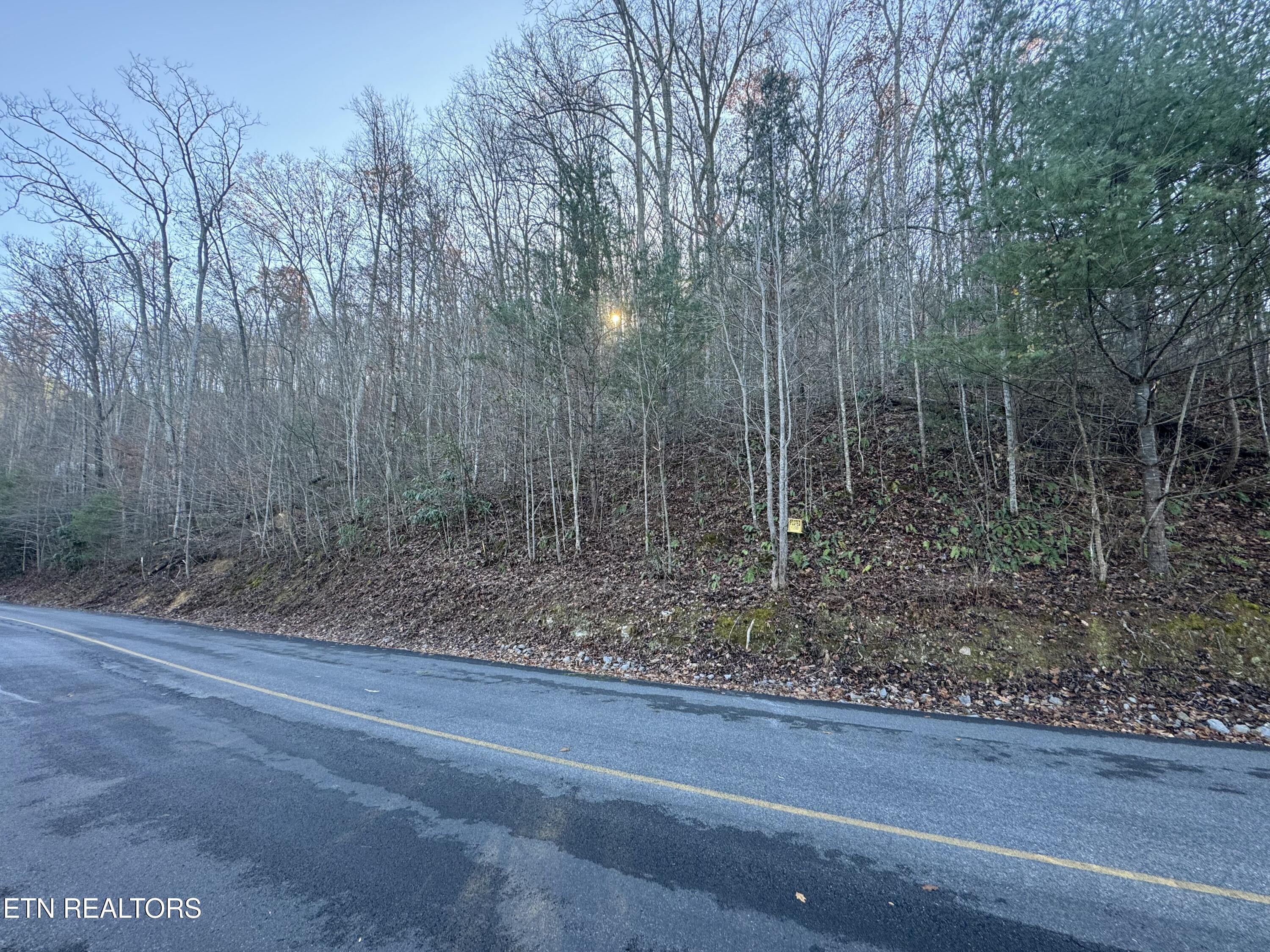 Lot 57 Whetstone Road Sevierville, TN 37862 - Photo 5 of 12 tempImageQJVnOL