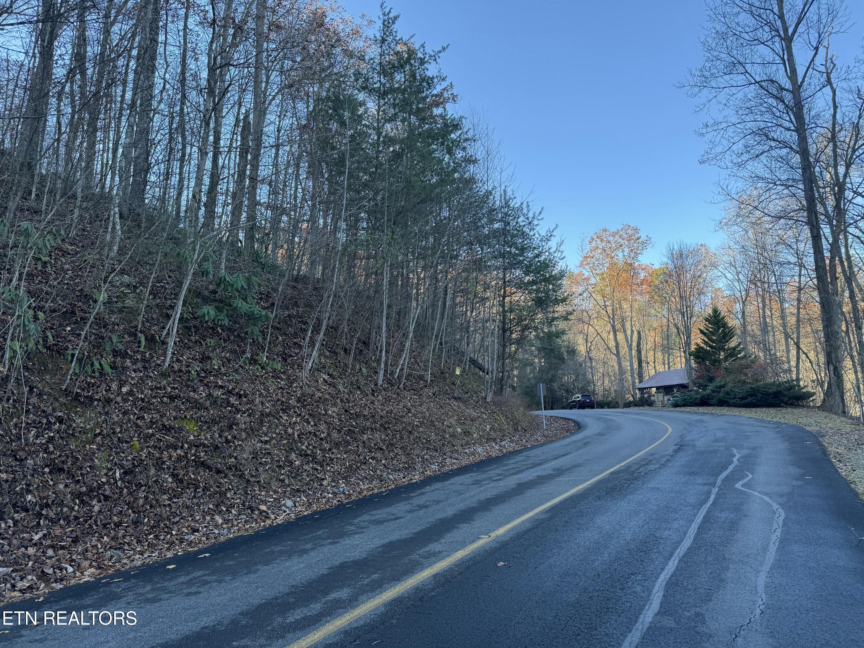 Lot 57 Whetstone Road Sevierville, TN 37862 - Photo 6 of 12 tempImageLsIE40