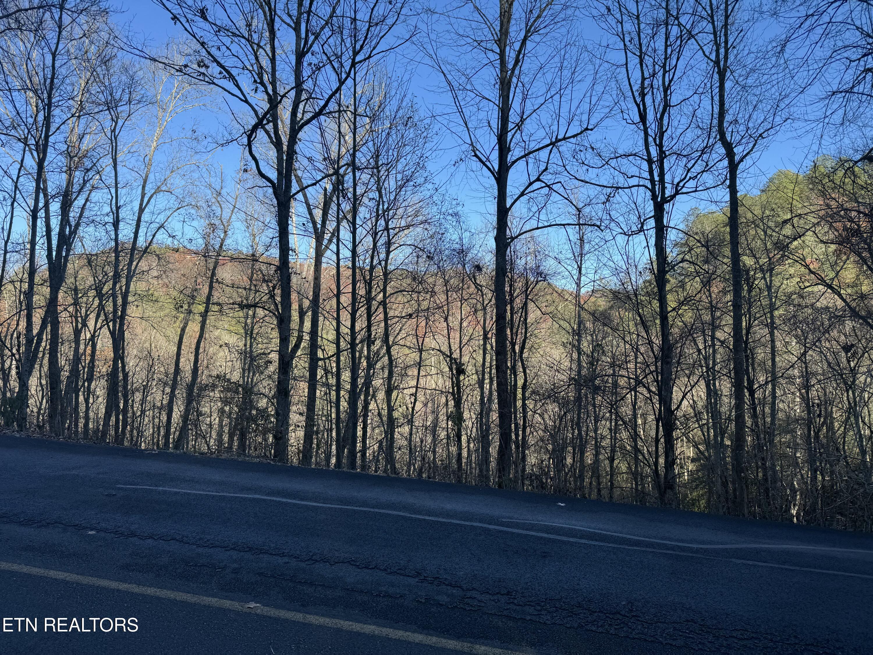 Lot 57 Whetstone Road Sevierville, TN 37862 - Photo 8 of 12 tempImageew9vHO