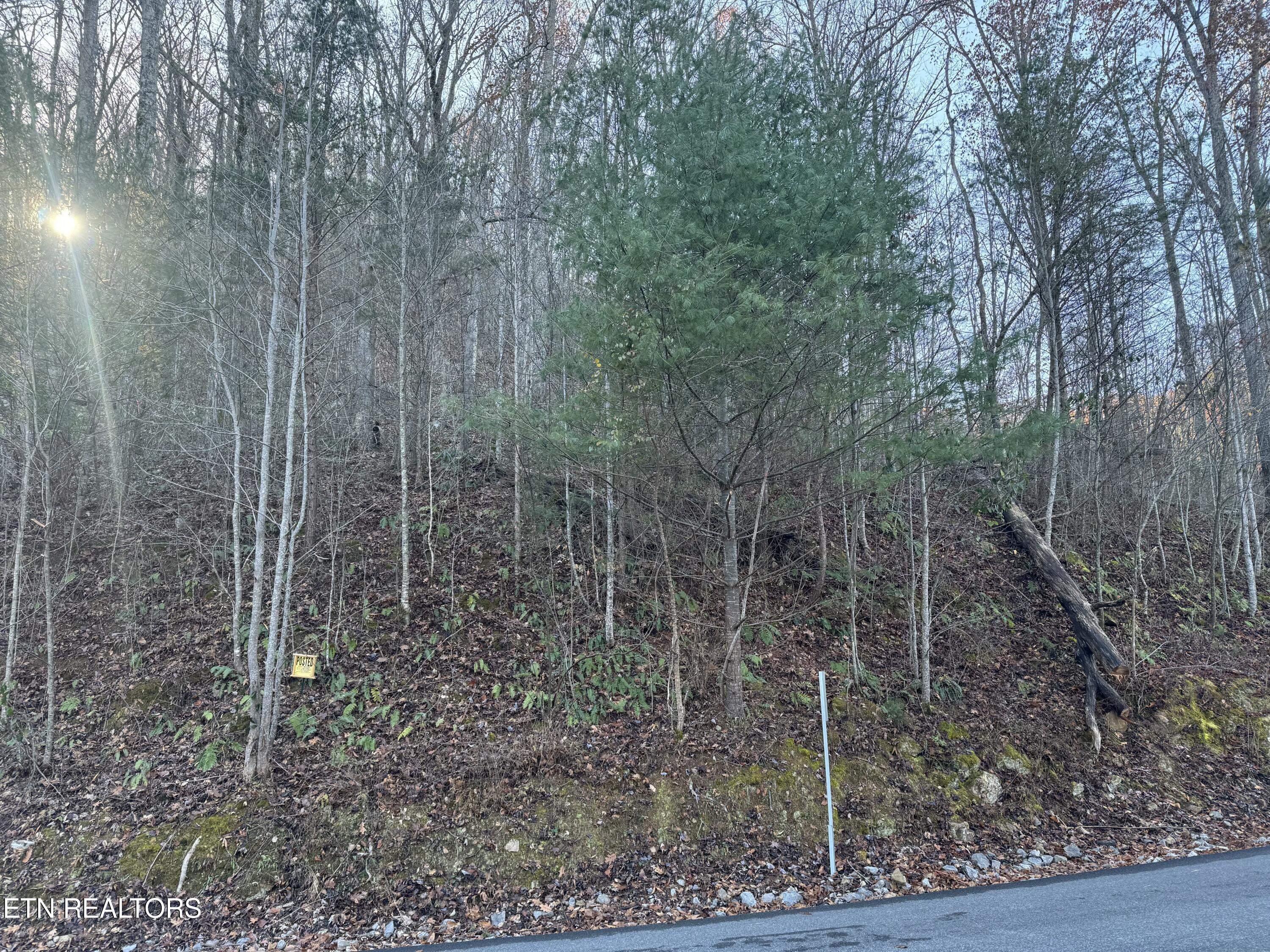 Lot 57 Whetstone Road Sevierville, TN 37862 - Photo 9 of 12 tempImageEKmqUD