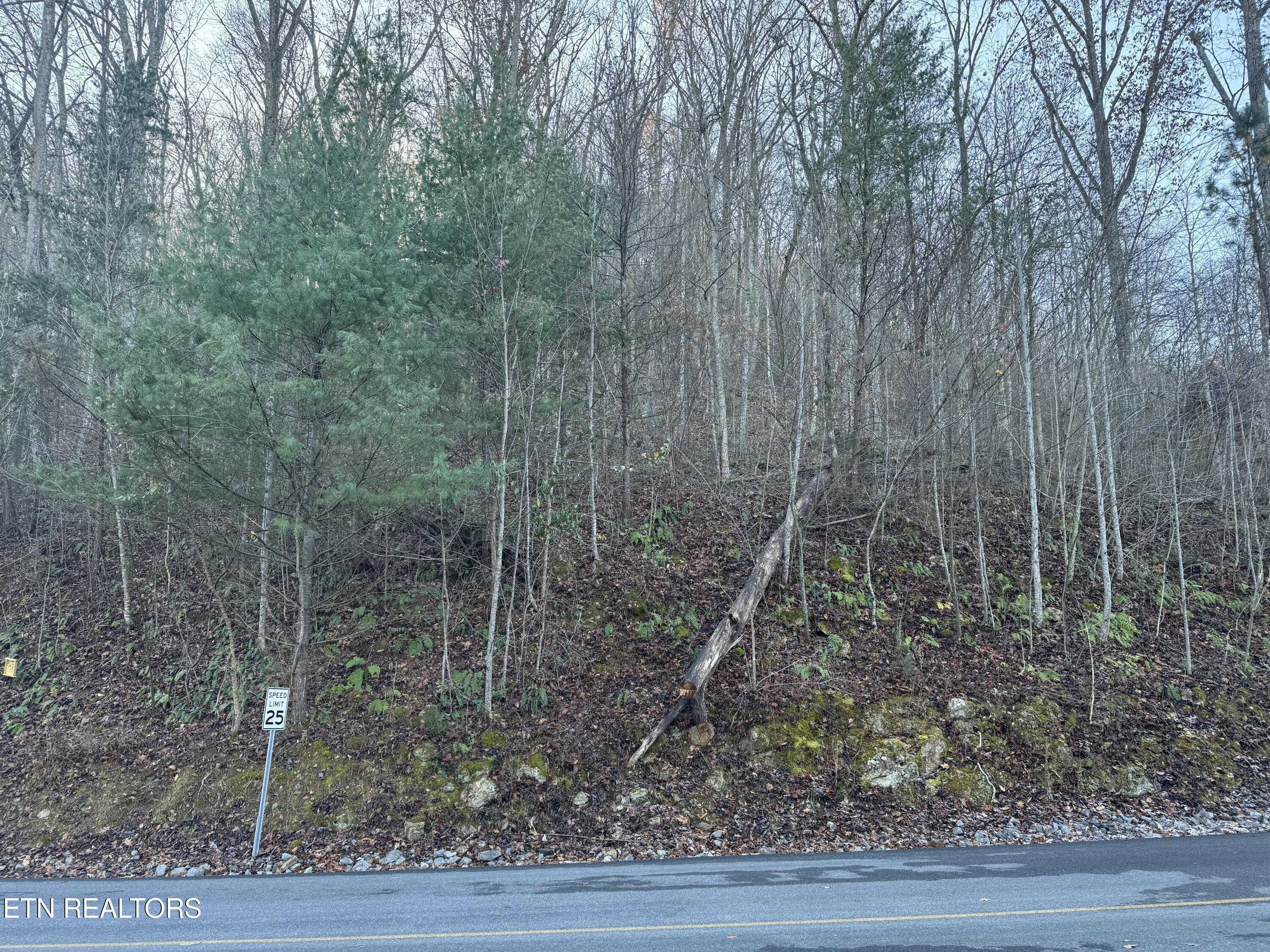 Lot 57 Whetstone Road Sevierville, TN 37862 - Photo 10 of 12 tempImageBDL0r0