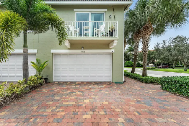 a view of a backyard with a plants and palm trees