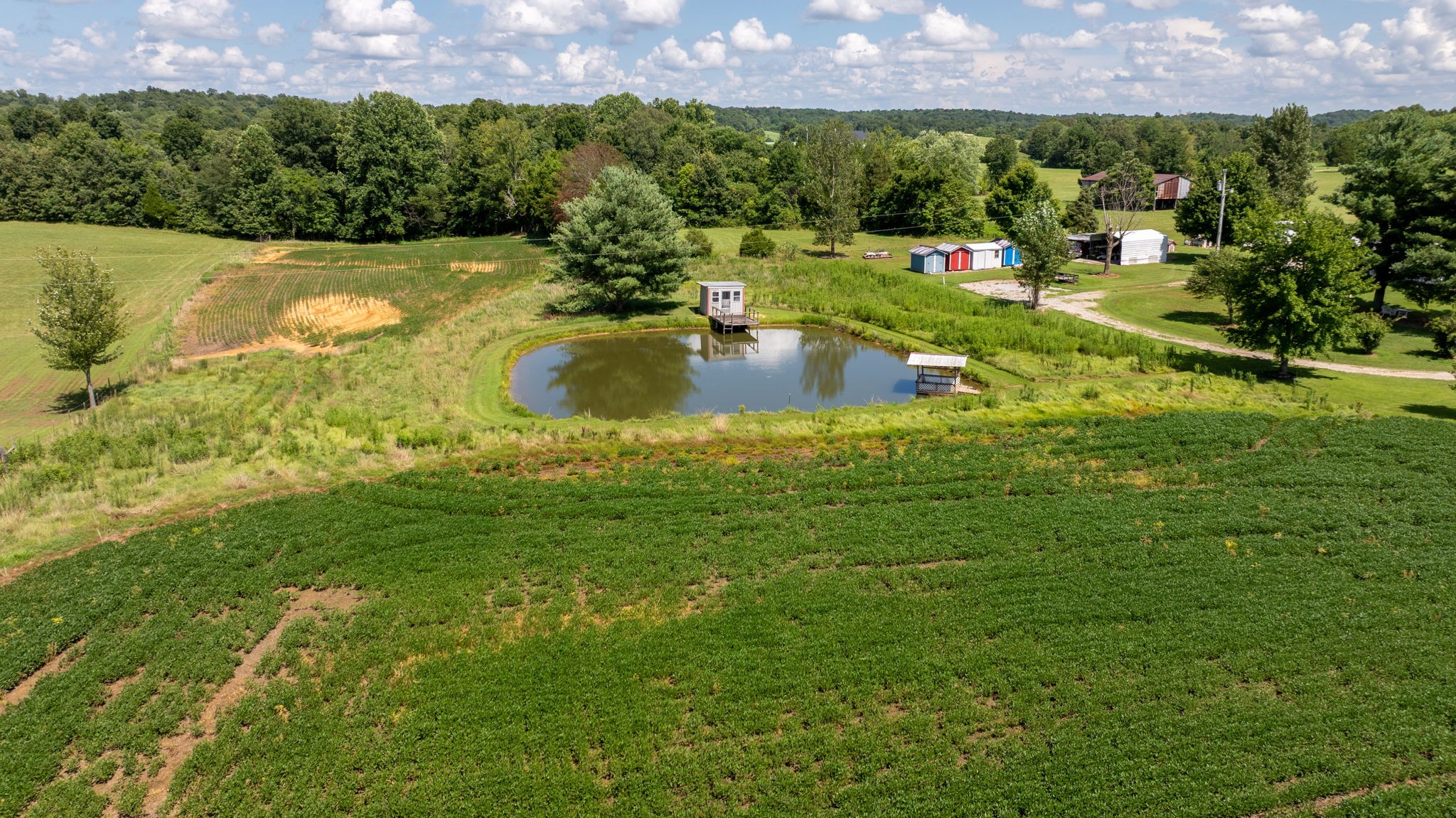 a view of a lake with a garden