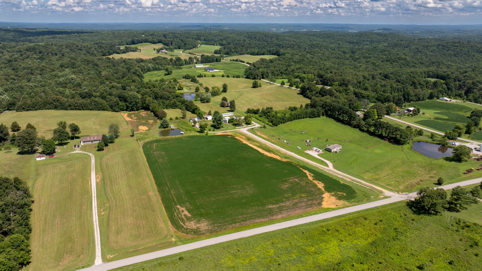 4643 Huntsville-Quality Road Lewisburg, KY 42256 - Photo 3 of 9 a view of a pool with a yard