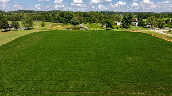 a view of an outdoor space and a yard
