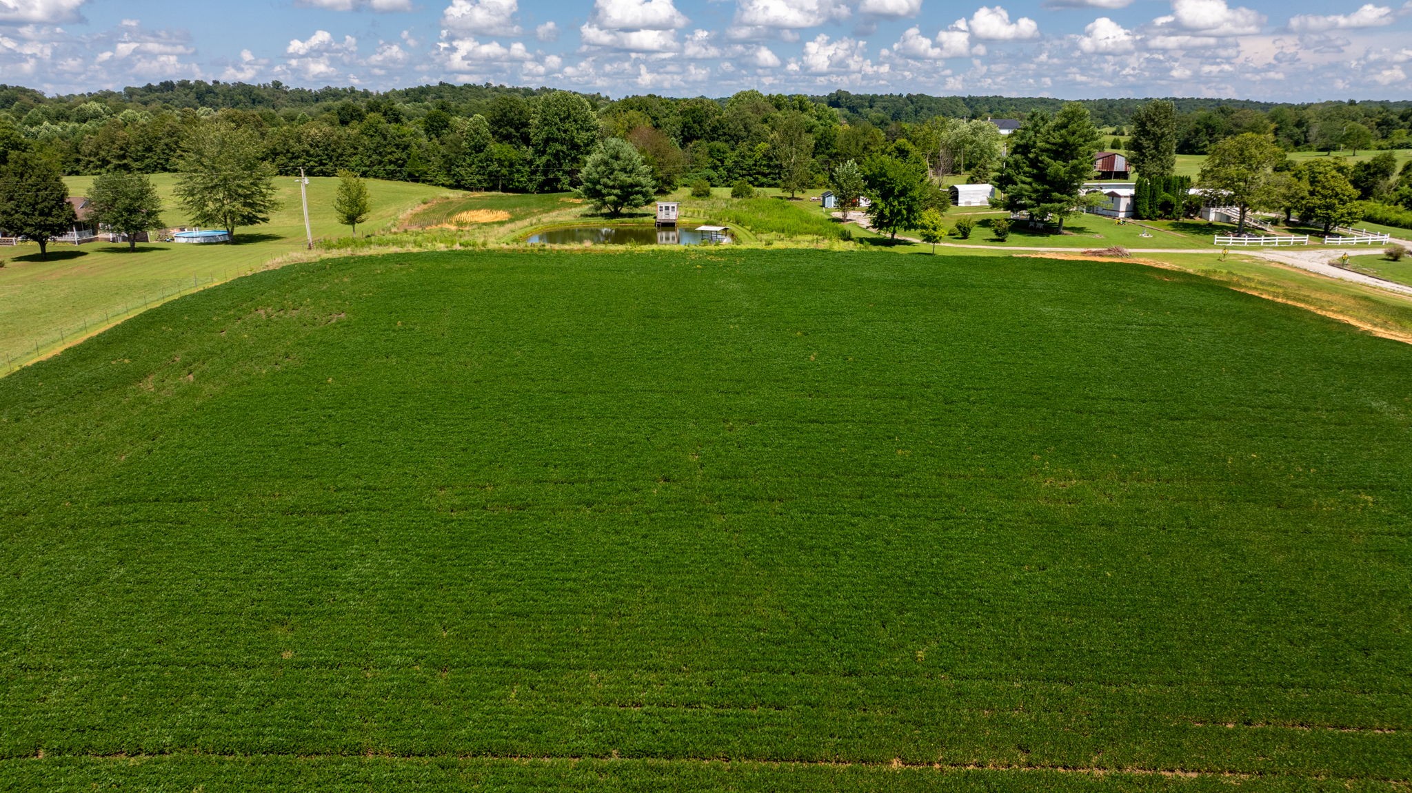 4643 Huntsville-Quality Road Lewisburg, KY 42256 - Photo 6 of 9 a view of an outdoor space and a yard