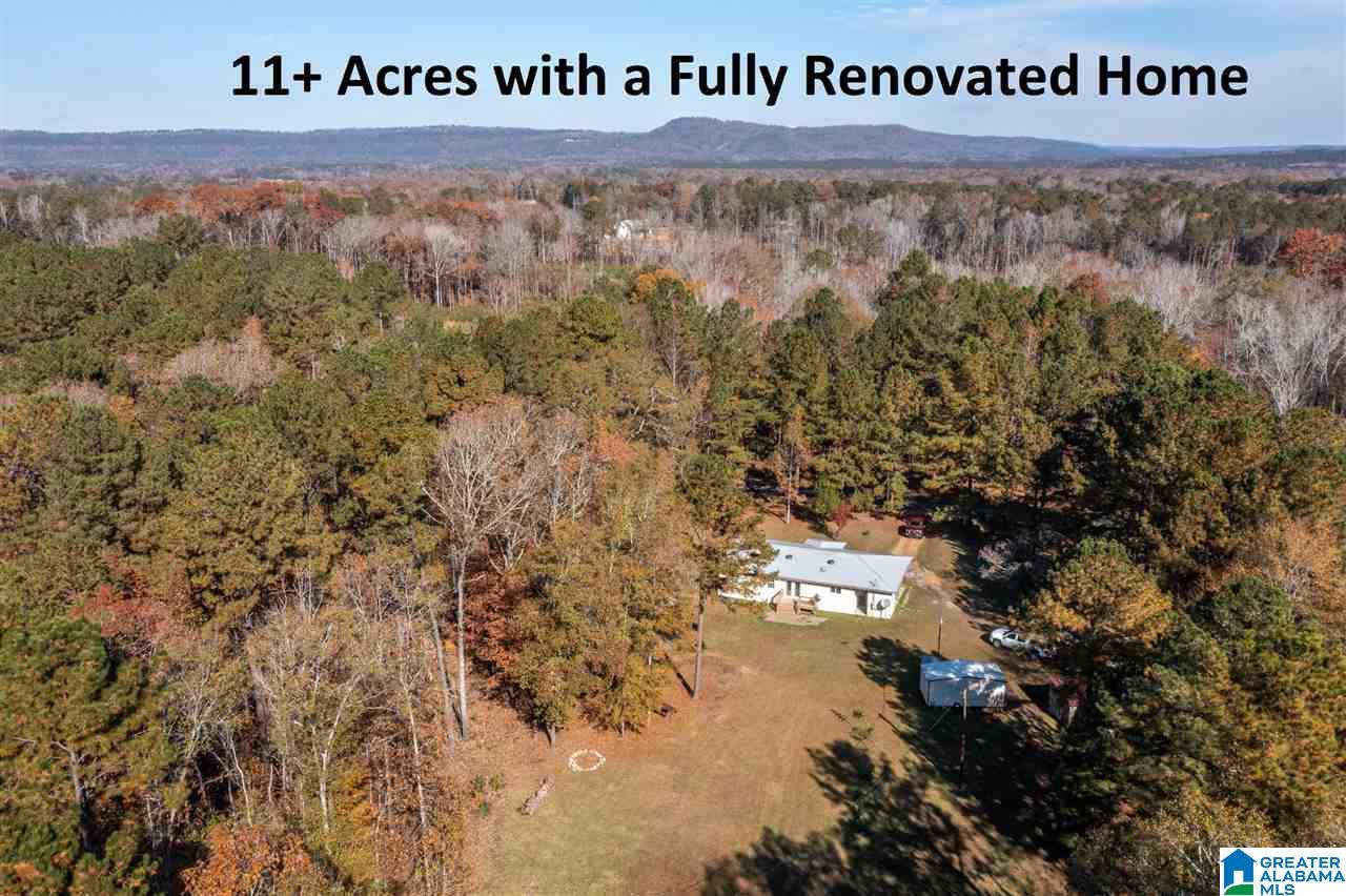 481 Highway 45 Sterrett, AL 35147 - Photo 1 of 41