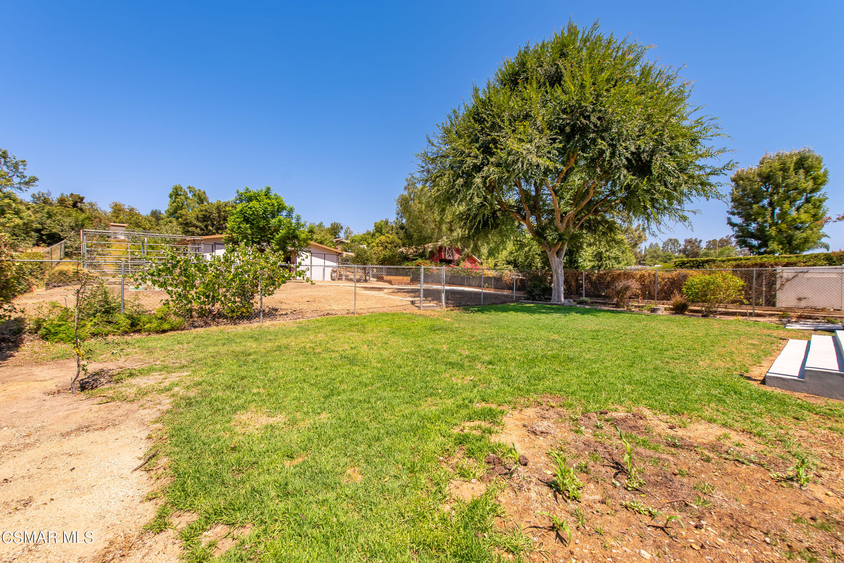1217 Rambling Road Simi Valley, CA 93065 - Photo 32 of 64 a view of a yard with a tree