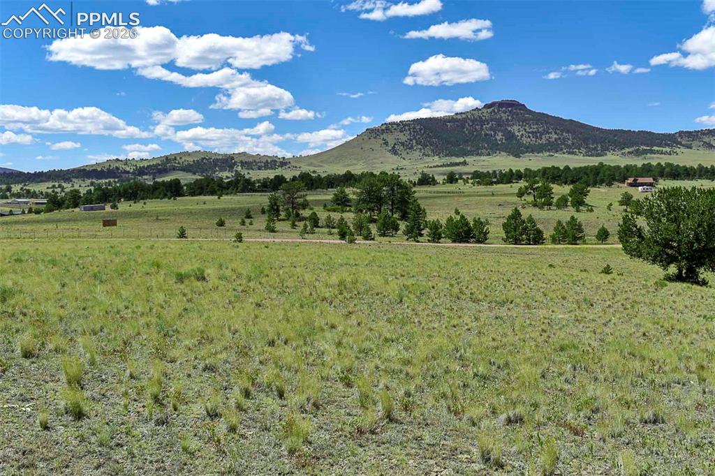 4680 County Road 71 Guffey, CO 80820 - Photo 6 of 15