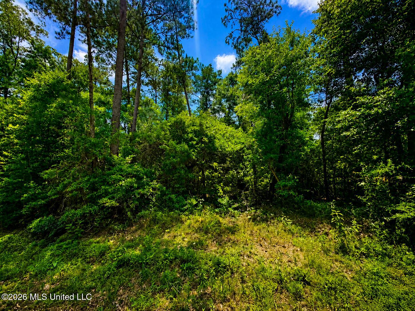 8.2-acres Breland Road McLain, MS 39456 - Photo 3 of 11 Land