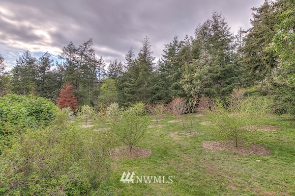 381 Stonecrop Road Orcas Island, WA 98280 - Photo 24 of 25 Gallery Image 24