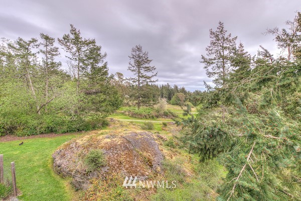 381 Stonecrop Road Orcas Island, WA 98280 - Photo 6 of 25 Gallery Image 6