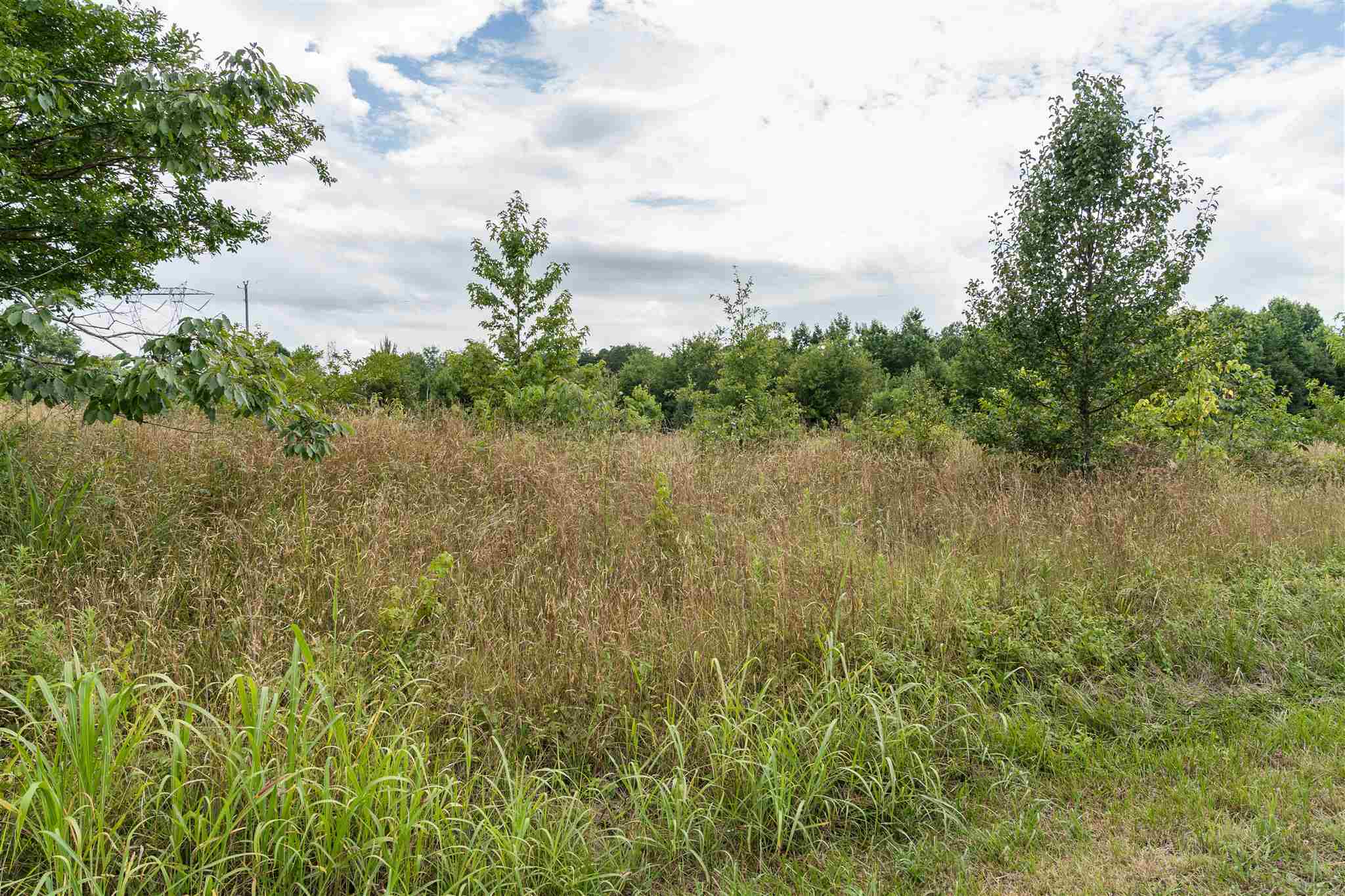 4615 B Rainbow Lake Road Campobello, SC 29322 - Photo 2 of 12