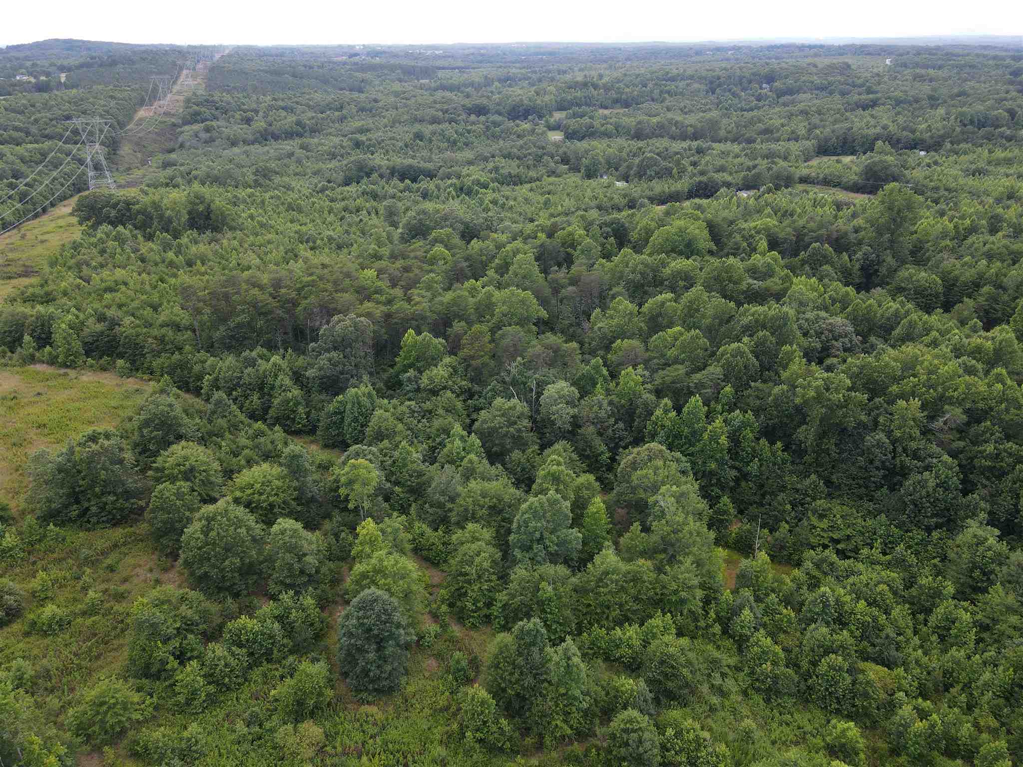 4615 B Rainbow Lake Road Campobello, SC 29322 - Photo 8 of 12