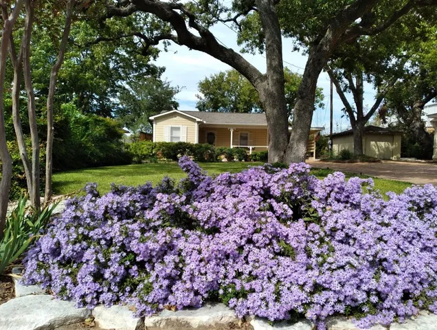 $450,000 | 406 North Adams Street, Fredericksburg, TX 78624