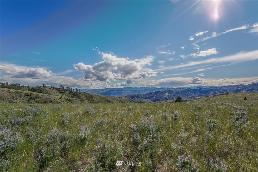 266 Hawks Ridge Road Chelan, WA 98816 - Photo 21 of 24 Gallery Image 21