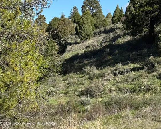 $129,000 | 59-b4 Cutthroat Run, Irwin, ID 83428