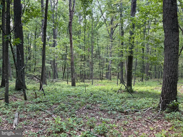 $30,000 | Lot 11 Rock Creek Trail, Rio, WV 26755