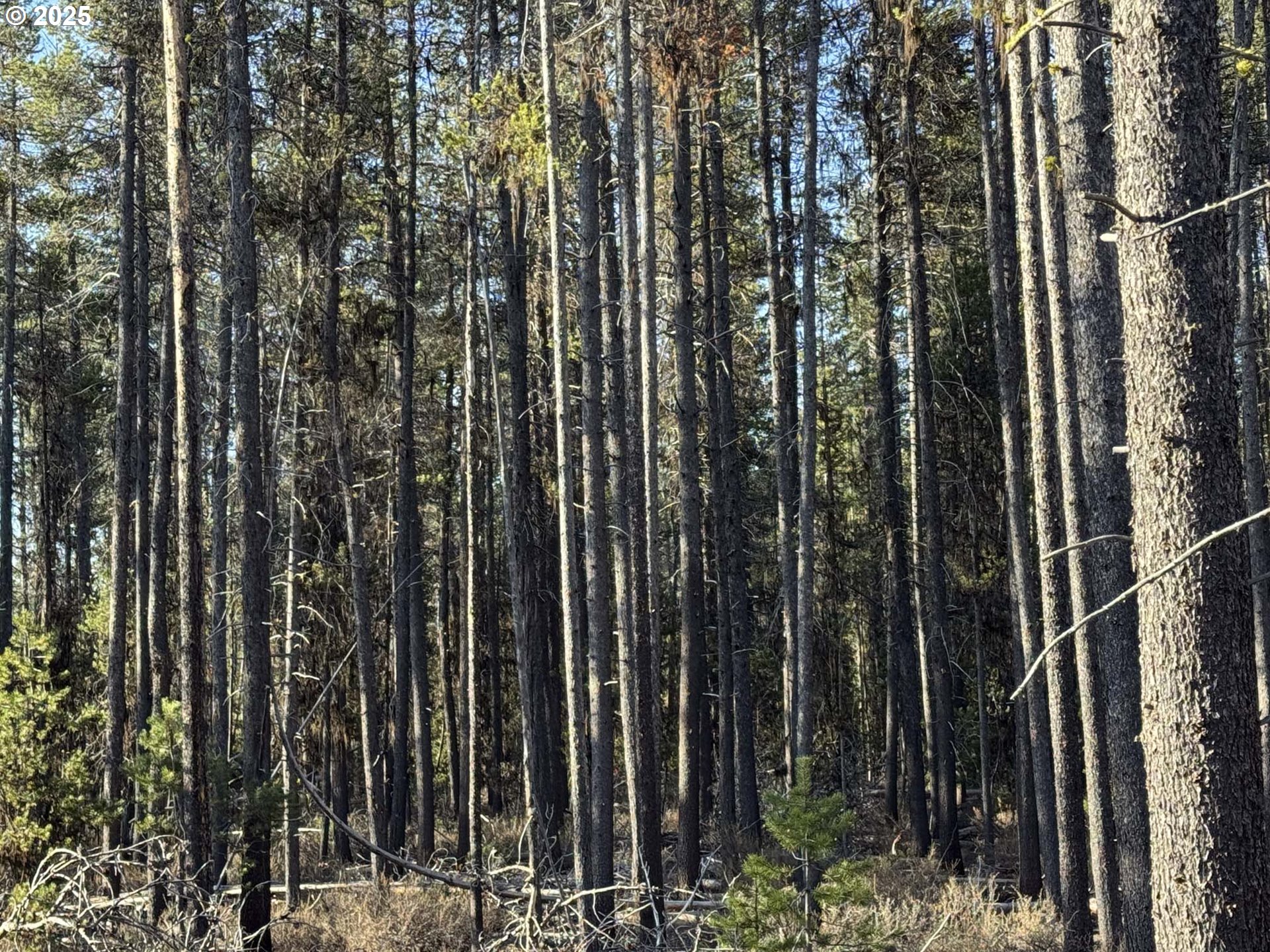 Artesian Drive, Unit L7 Chiloquin, OR 97624 - Photo 14 of 42