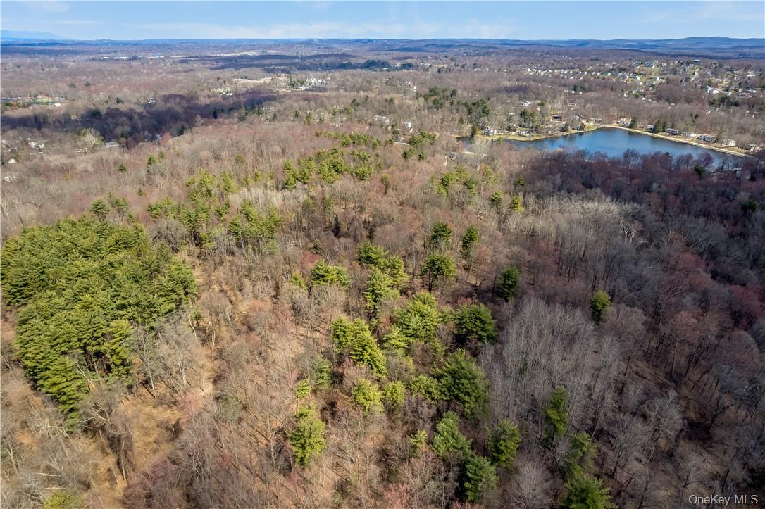Spook Hill Road Wappingers Falls, NY 12590 - Photo 3 of 4 Gallery Image 3