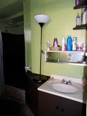 4786 Nonou Road Kapaa, HI 96746 - Photo 13 of 18 a bathroom with a sink and a mirror