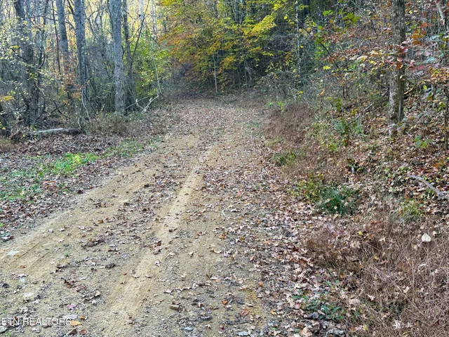 $88,500 | 7 Topaz Way, Parrottsville, TN 37843