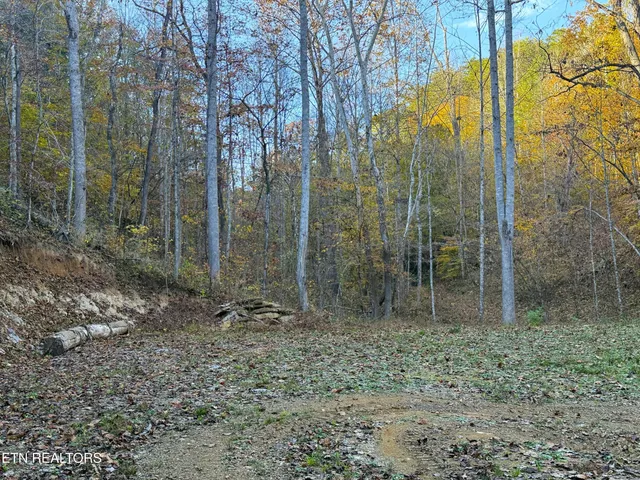 $88,500 | 7 Topaz Way, Parrottsville, TN 37843