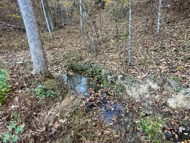 $88,500 | 7 Topaz Way, Parrottsville, TN 37843