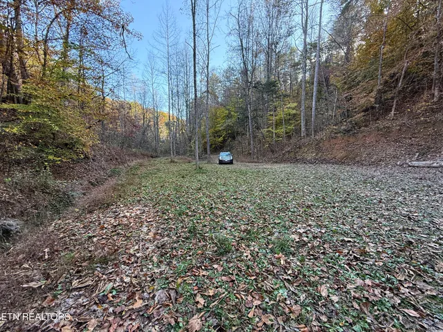 $88,500 | 7 Topaz Way, Parrottsville, TN 37843