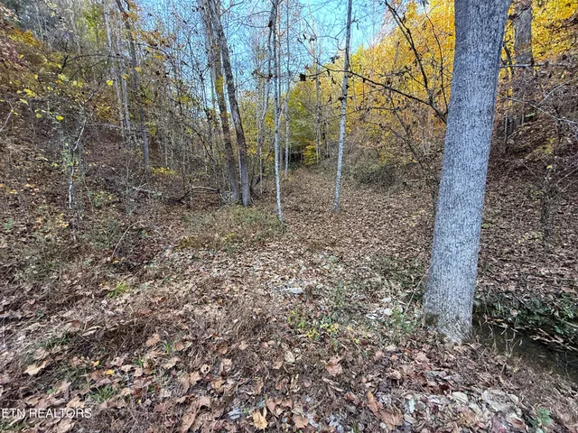 $88,500 | 7 Topaz Way, Parrottsville, TN 37843