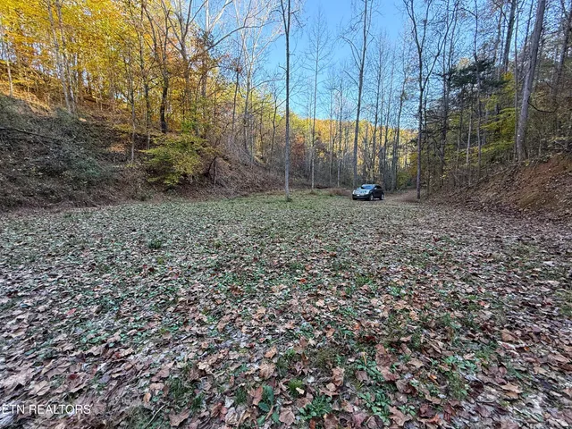 $88,500 | 7 Topaz Way, Parrottsville, TN 37843