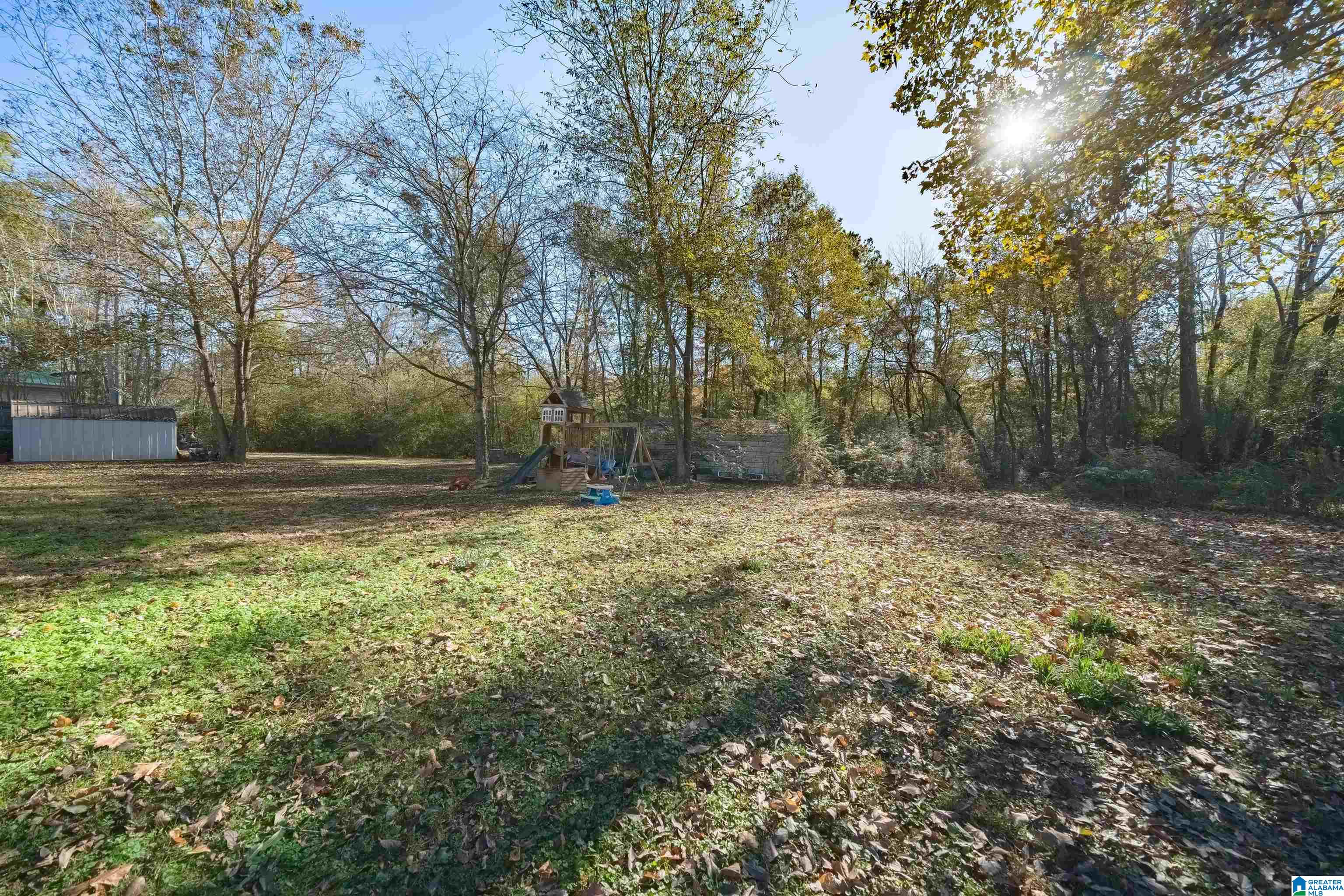 14110 Highway 11 Springville, AL 35146 - Photo 30 of 31