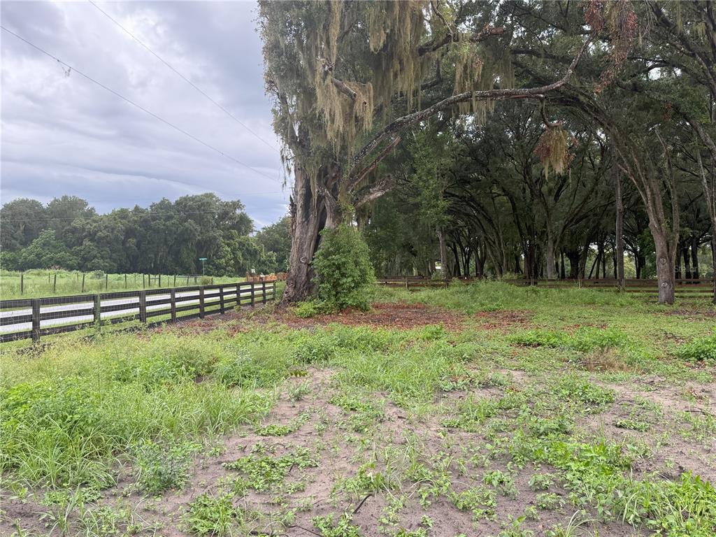 890 Grand Rondo West Crescent City, FL 32112 - Photo 6 of 24