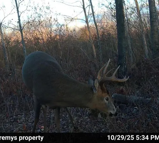 $642,000 | 25690 Groningen Road, Sandstone, MN 55072